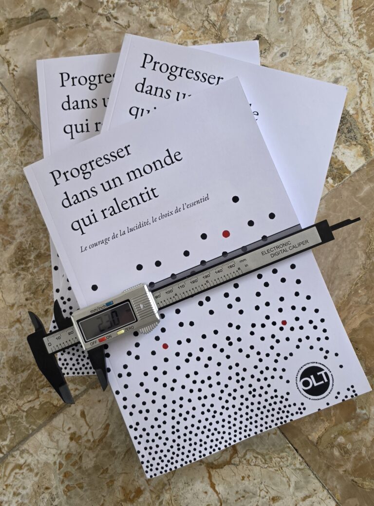 Sortie de « Progresser dans un monde qui ralentit. Le courage de la lucidité, le choix de l&rsquo;essentiel. »